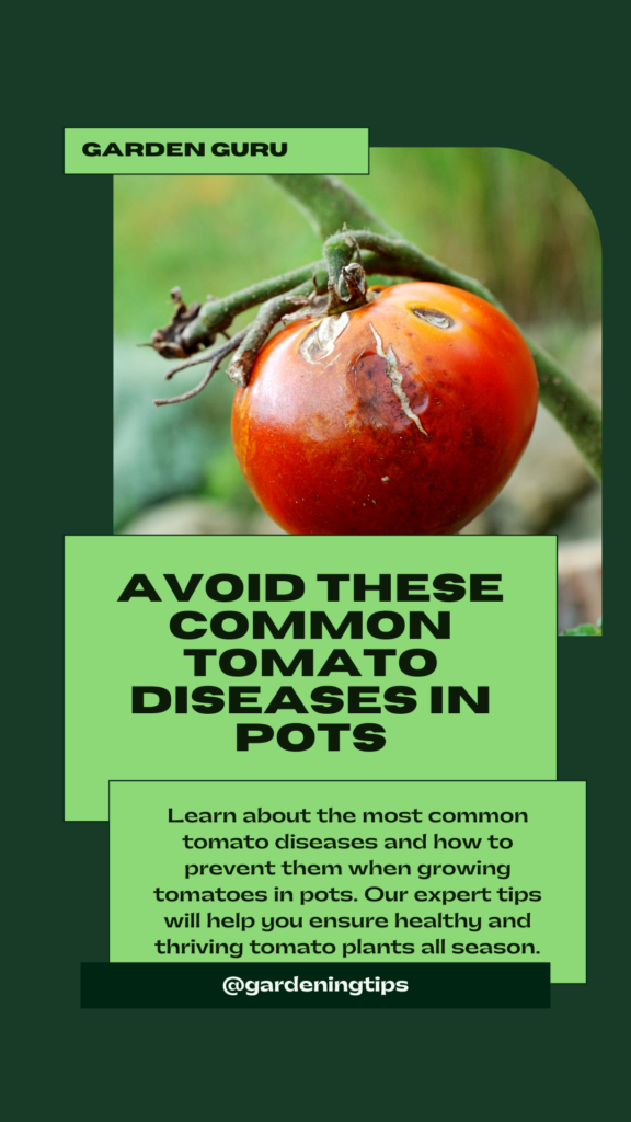 Best tomatoes for limited space gardening