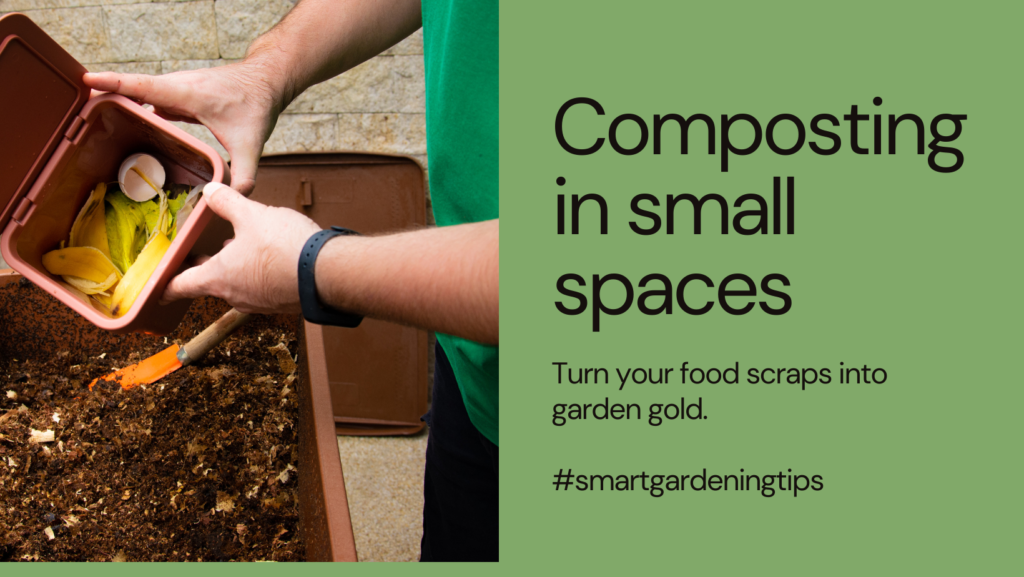 Small space gardening ideas
