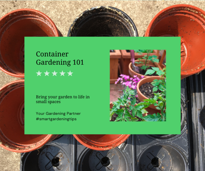 Container gardening for beginners