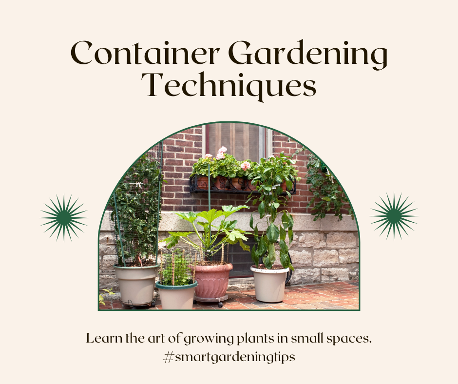 Container gardening techniques
