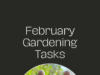 February gardening tasks