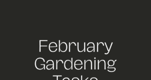 February gardening tasks