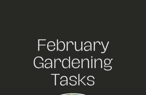 February gardening tasks