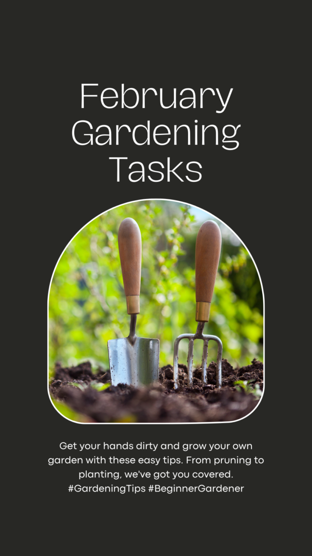 February gardening tasks