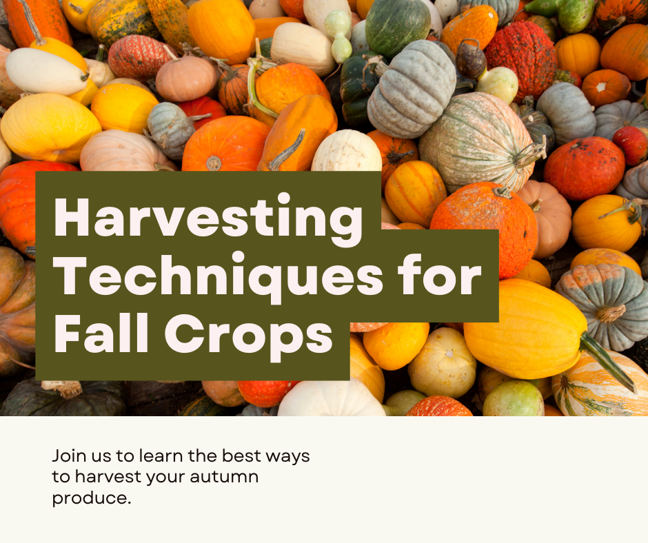 Harvesting advice for fall crops
