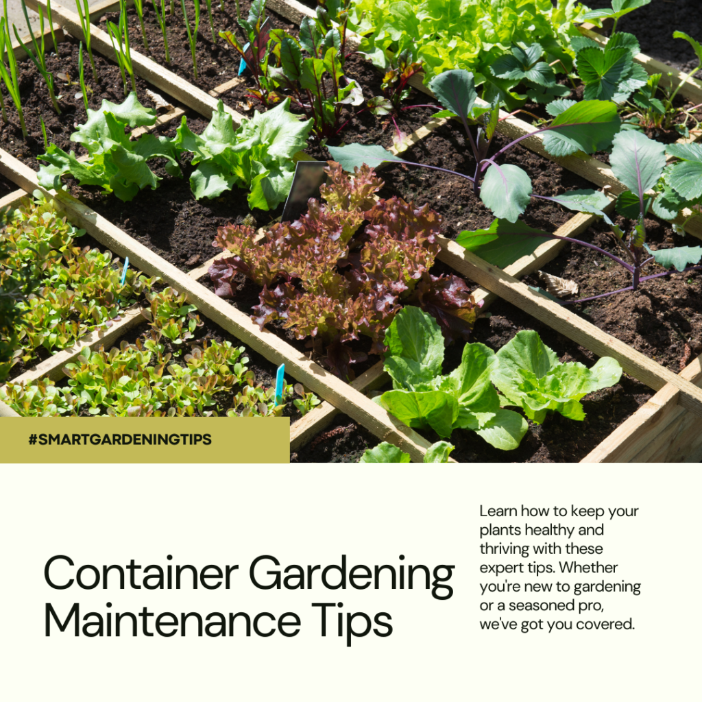 Container gardening advantages
