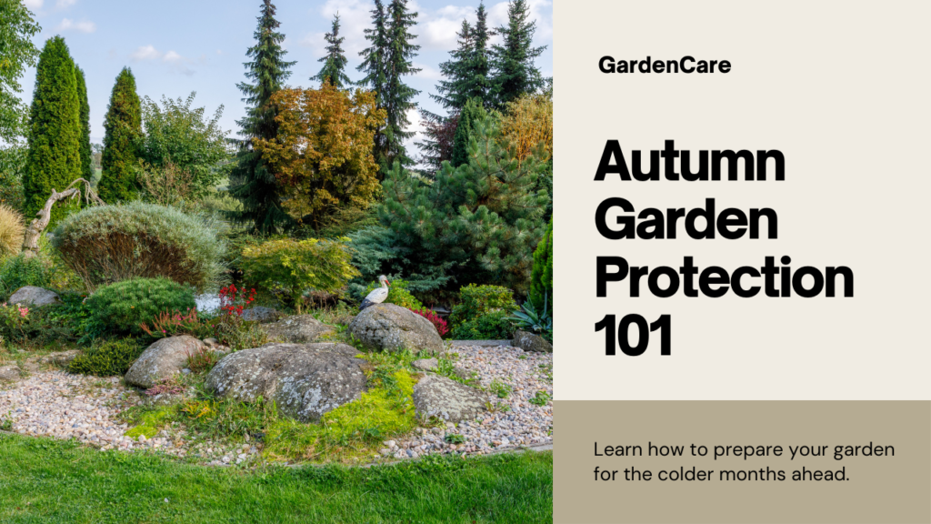 Autumn gardening tips
