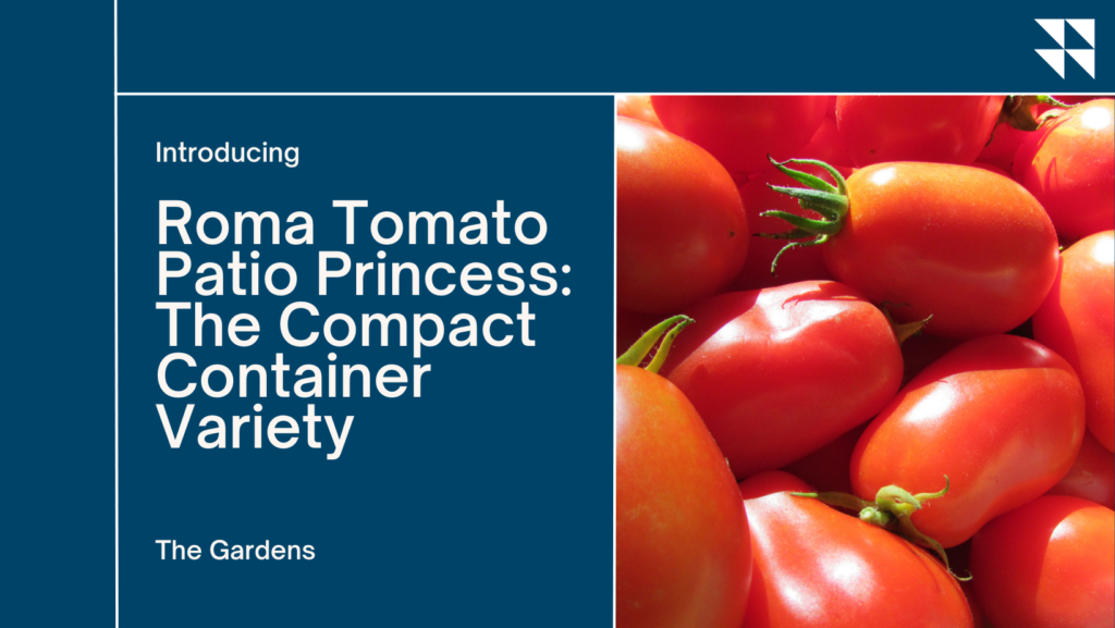 Tomato plants suitable for containers
