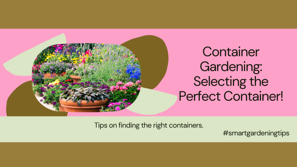 Best plants for container gardening

