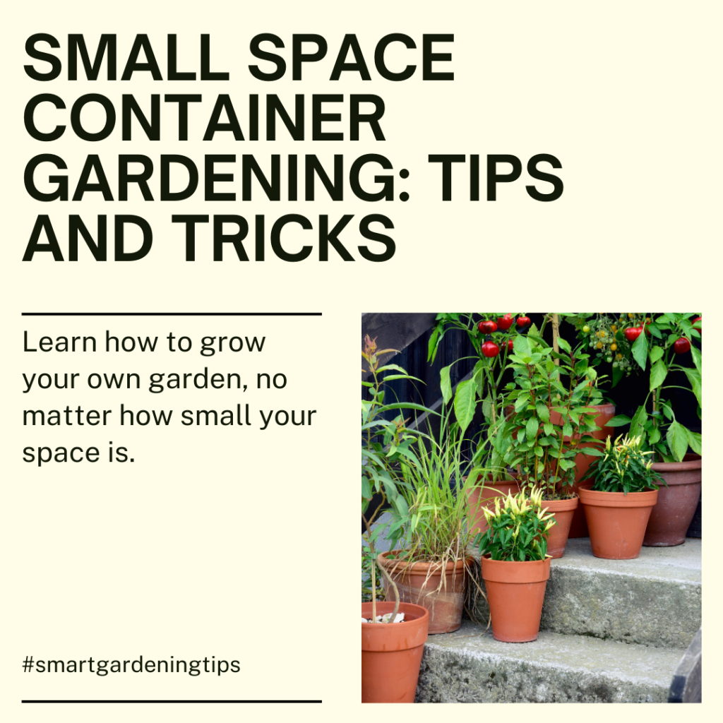 Learn how to grow your own herbs and vegetables no matter how small your space is! Our container gardening solutions are perfect for urban dwellers who want to bring a touch of the outdoors inside.