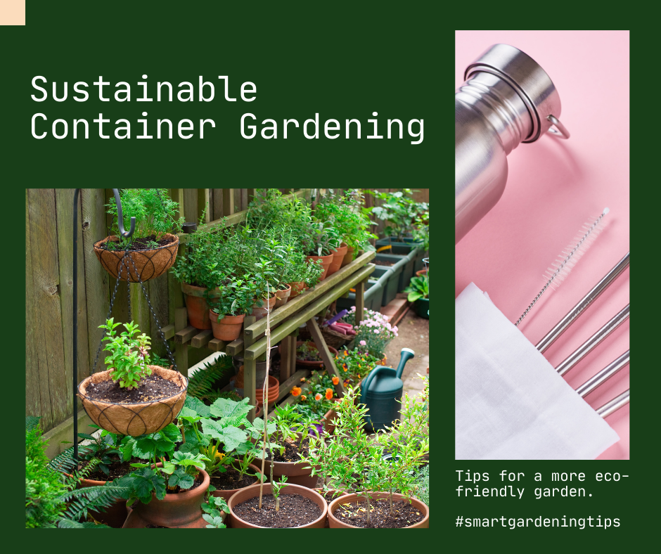 Best Container Gardening Ideas
