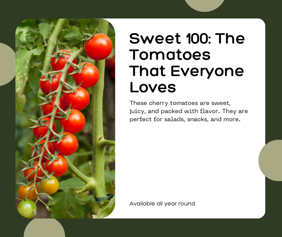 Best container tomato varieties
