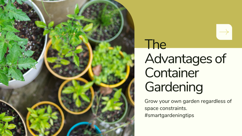 Container gardening advantages
