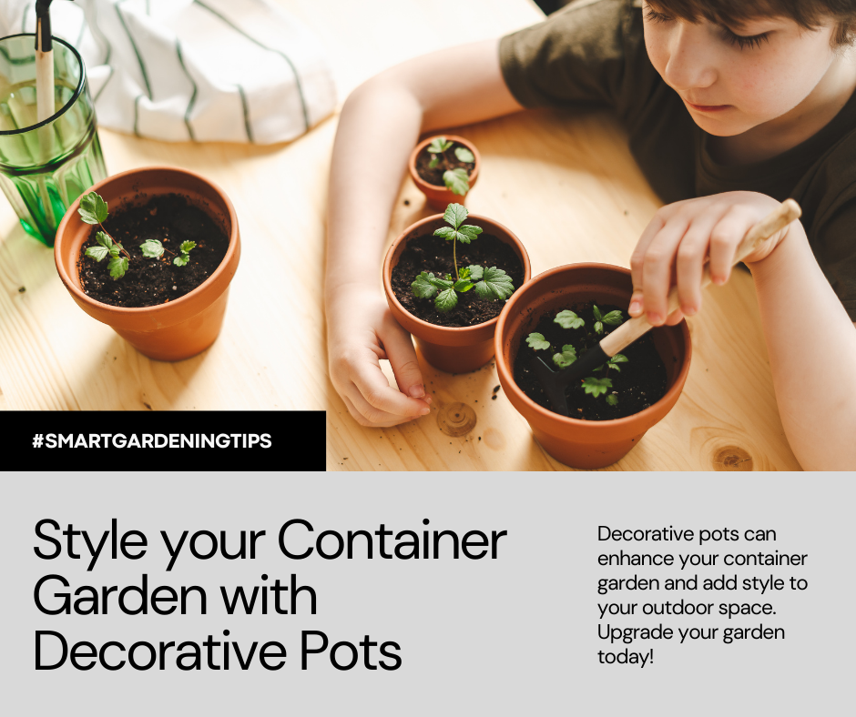 Decorative pots can enhance your container garden and add style to your outdoor space. Upgrade your garden today!