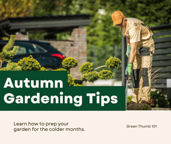Autumn gardening tips Autumn gardening tips