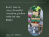 Best plants for container gardening