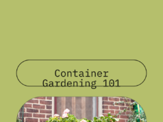 Container gardening advantages