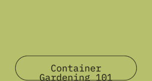 Container gardening advantages