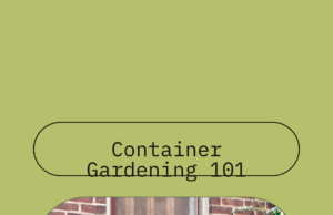 Container gardening advantages