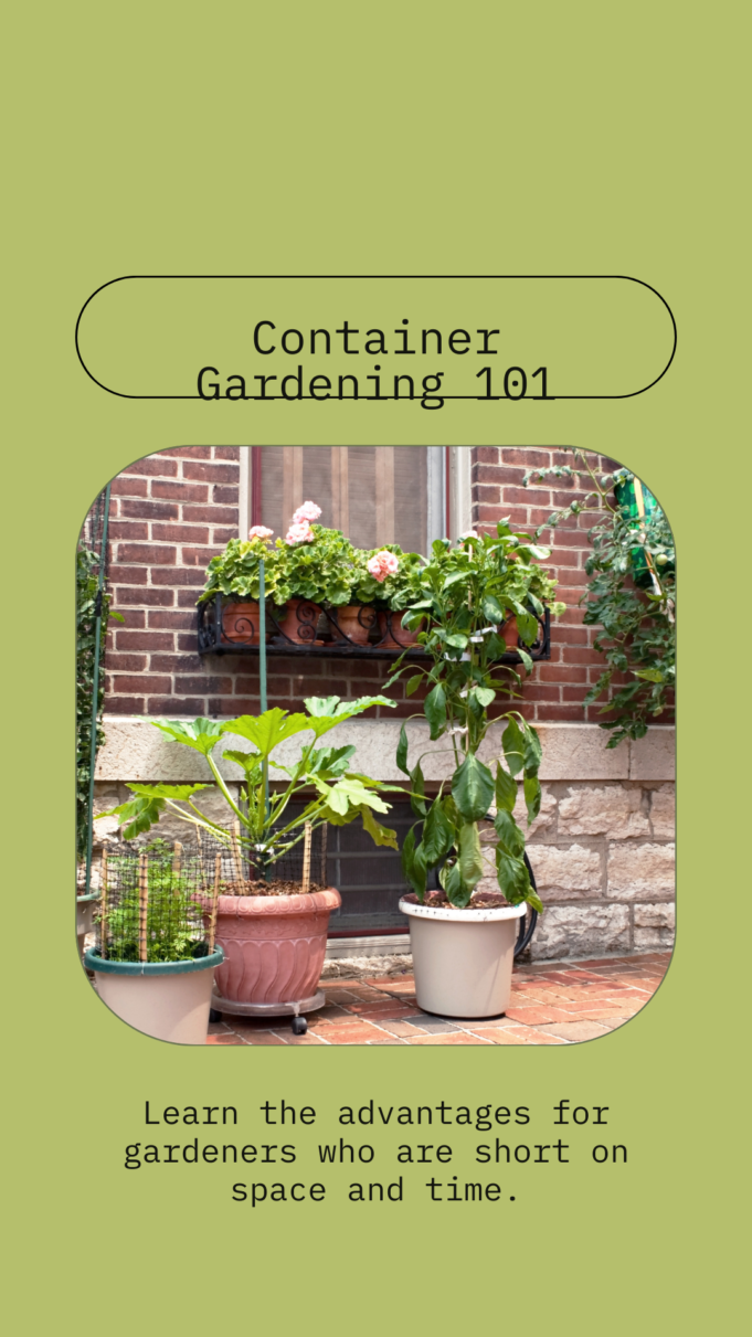 Container gardening advantages