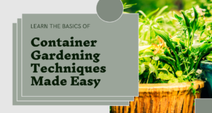 Container gardening techniques