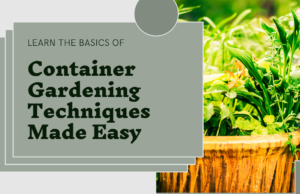 Container gardening techniques