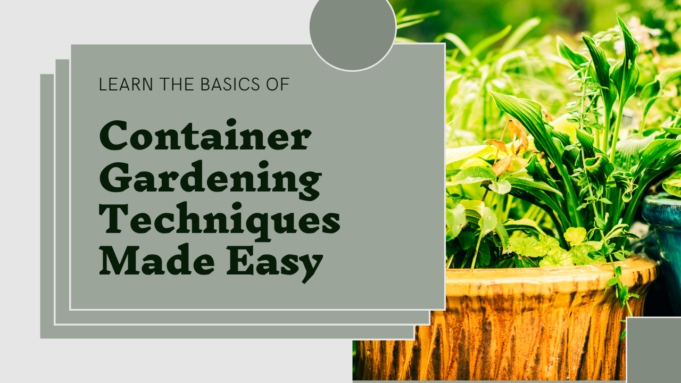 Container gardening techniques