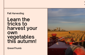 Fall harvest tricks