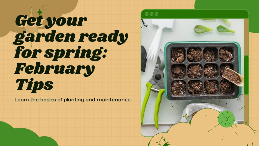 February gardening tips
