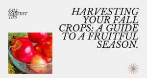 Harvesting advice for fall crops