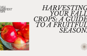 Harvesting advice for fall crops