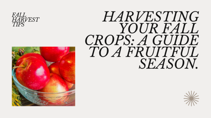 Harvesting Advice For Fall Crops Harvesting advice for fall crops