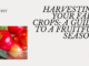 Harvesting advice for fall crops