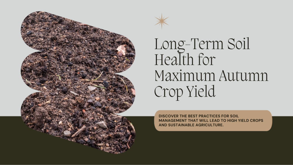 ​How to maximize autumn crop yield
