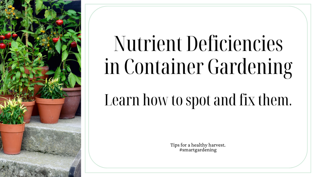 Learn how to spot and fix Nutrient Deficiencies in Container Gardening