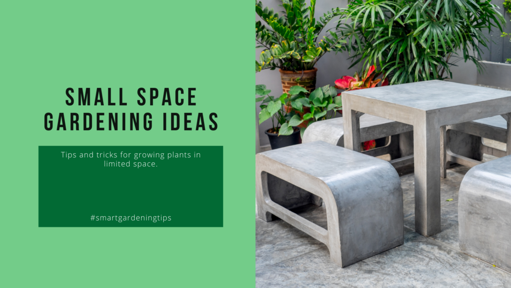 Small space gardening ideas
