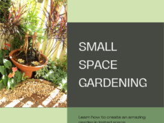 Small space gardening ideas