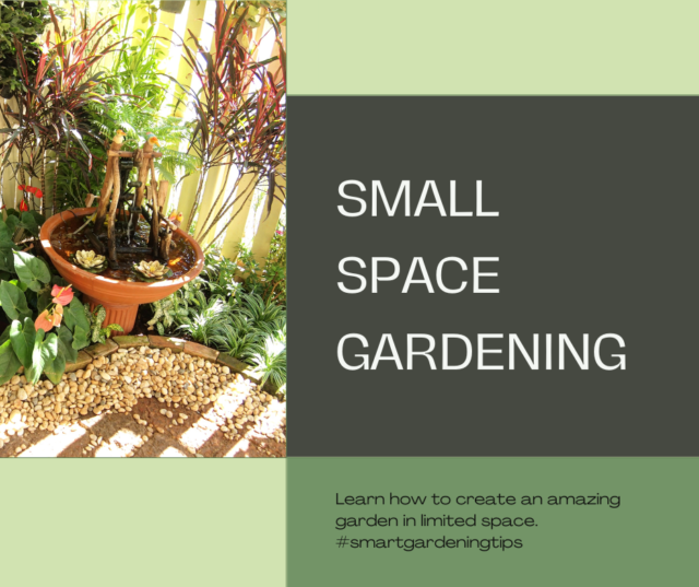 Small space gardening ideas