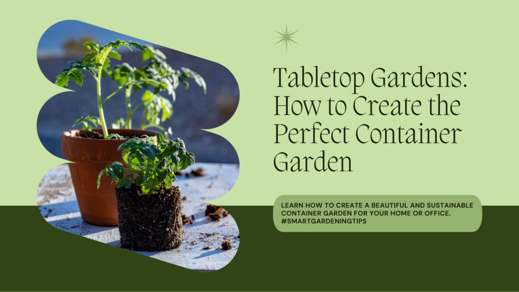 Learn how to create a beautiful and sustainable container garden for your home or office. 
