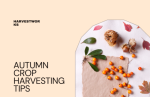 Tips for autumn crop harvesting