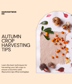 Tips for autumn crop harvesting