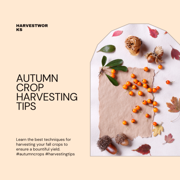 Tips For Autumn Crop Harvesting Tips for autumn crop harvesting