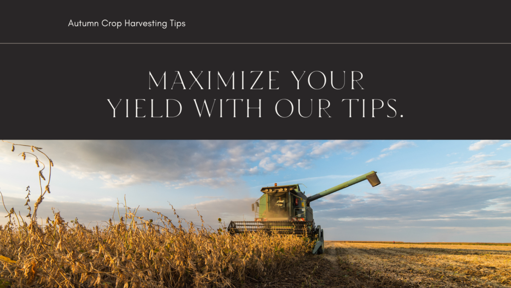 Tips for autumn crop harvesting
