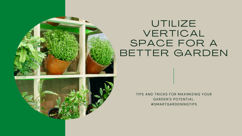 Creative Design Ideas for Small Space Container Gardens