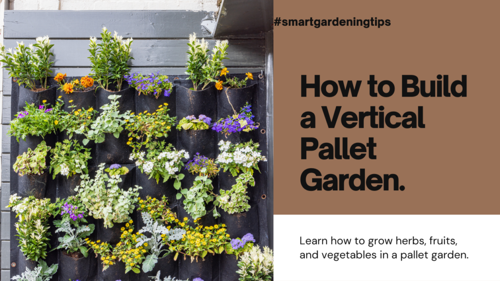 Learn how to grow herbs, fruits, and vegetables in a pallet garden.