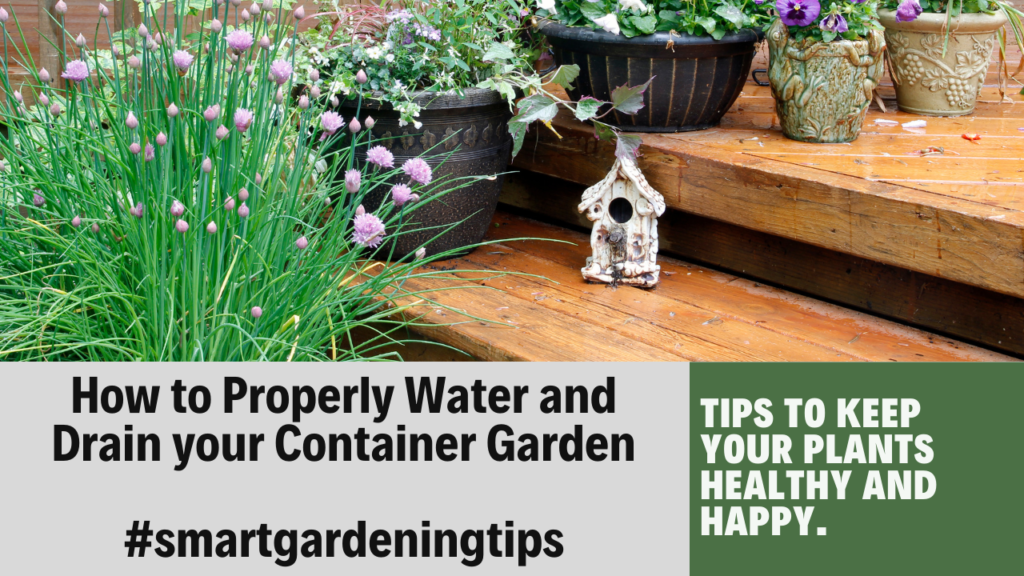 How to Properly Water and Drain your Container Garden
