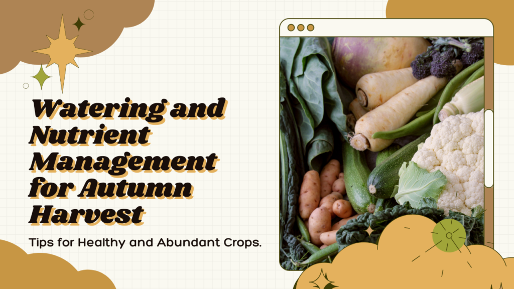​How to maximize autumn crop yield
