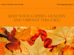 Keep your garden healthy and vibrant this fall season