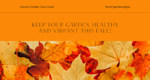 Keep your garden healthy and vibrant this fall season