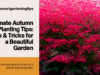 Explore the best plants & tips for a vibrant autumn garden.